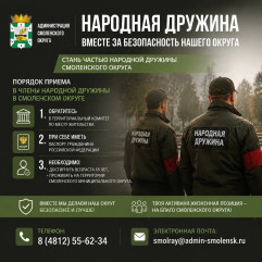 стань частью народной дружины Смоленского округа - фото - 1